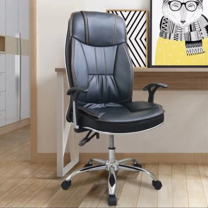 Carina Ergonomic Leather Executive office chair